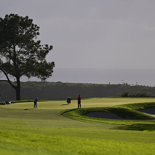 Skyboxes on 16